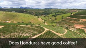 Does Honduras have good coffee?