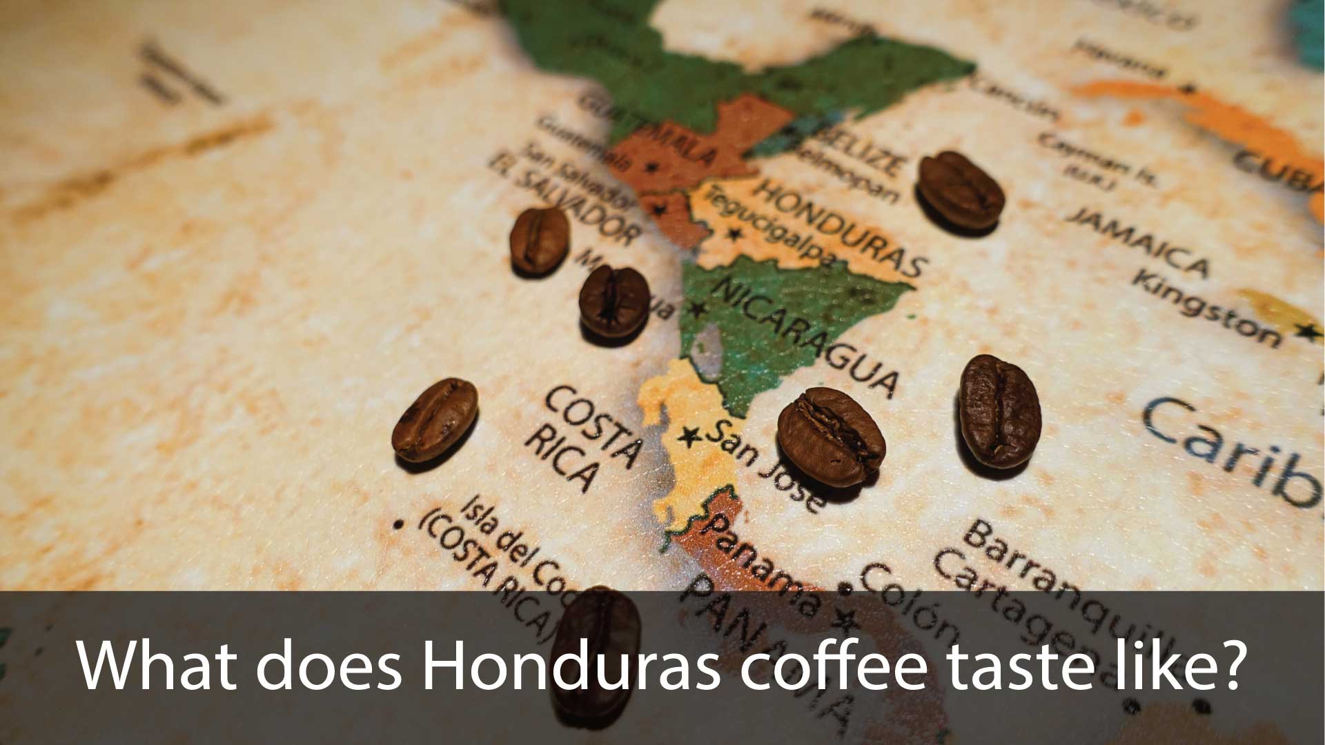What does Honduras coffee taste like? Daily Drip Coffee