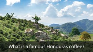 What is a famous Honduras coffee?