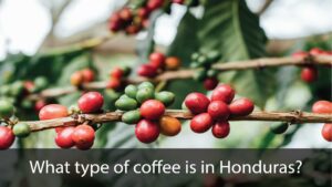 What type of coffee is in Honduras?